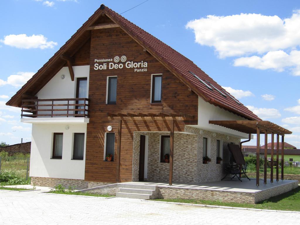 Pensiunea Soli Deo Gloria Sarmasag Buitenkant foto