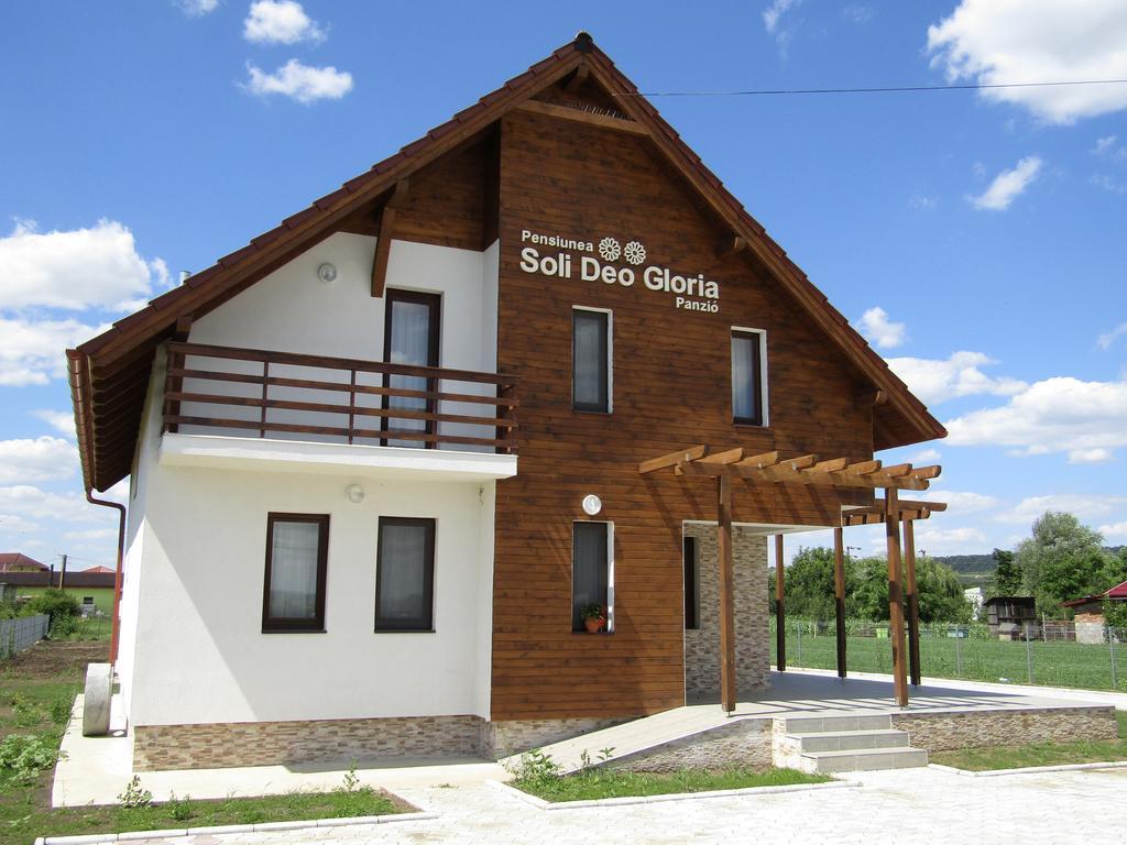 Pensiunea Soli Deo Gloria Sarmasag Buitenkant foto